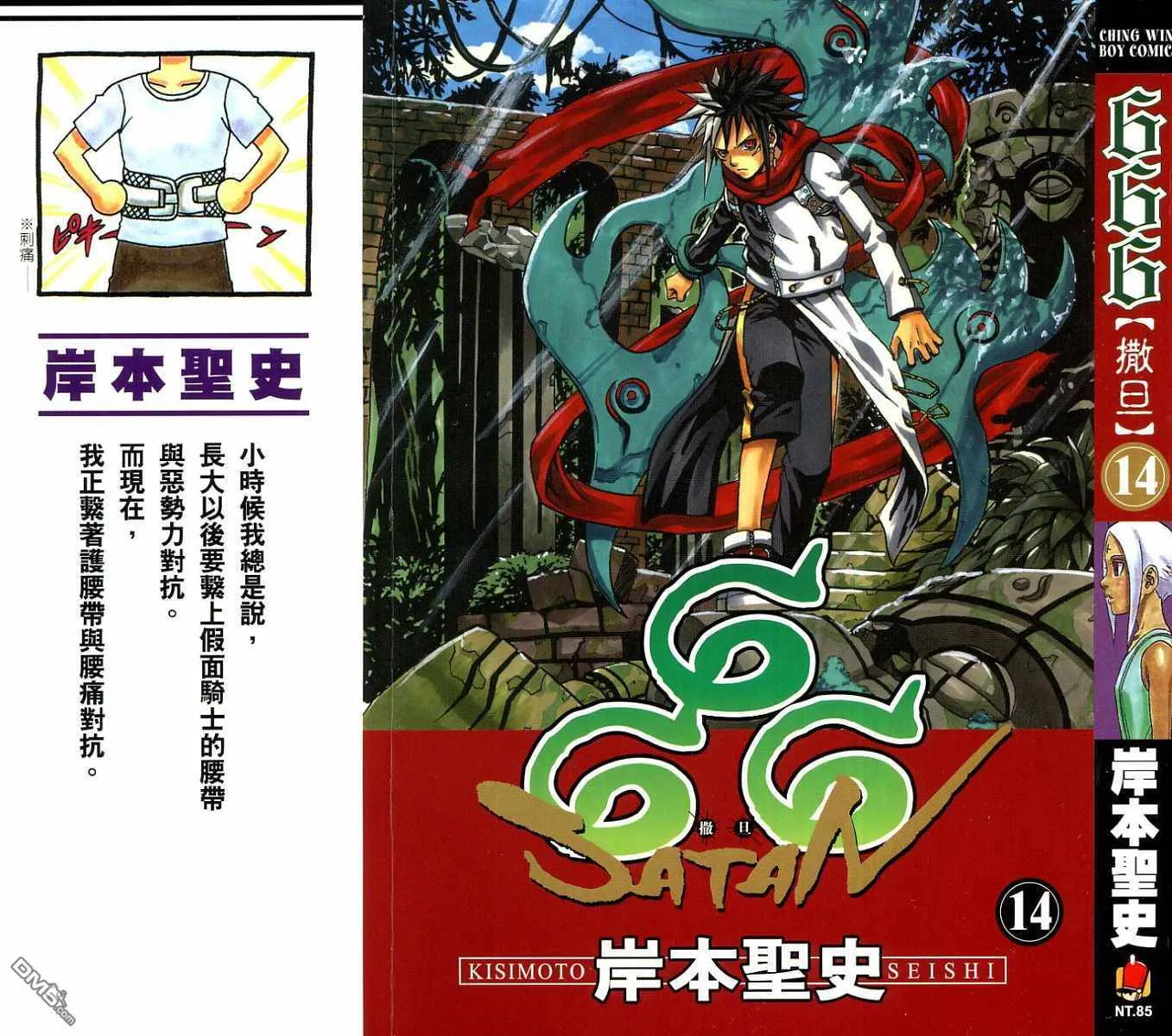第13卷 第96页