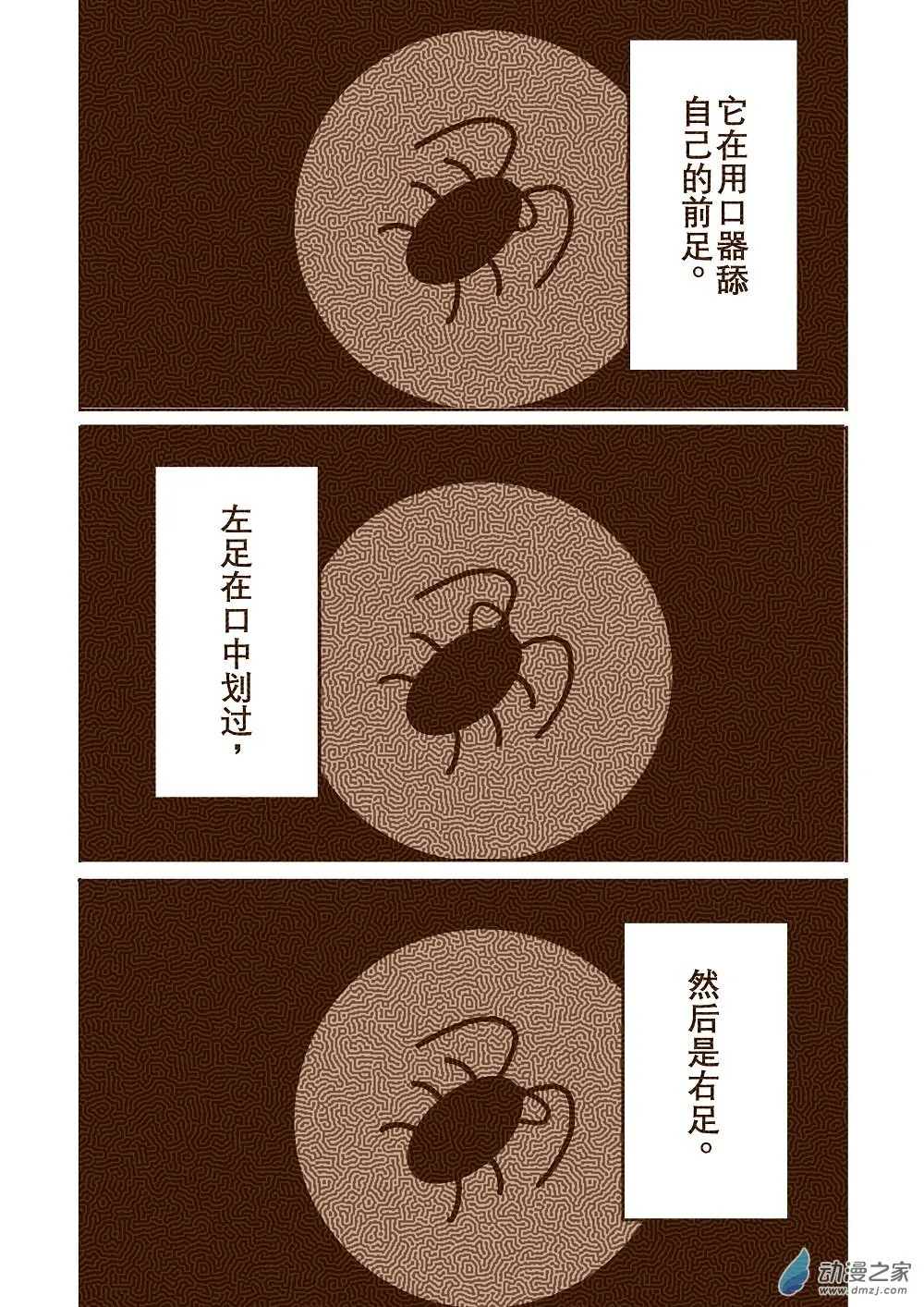 蟑螂 第7页