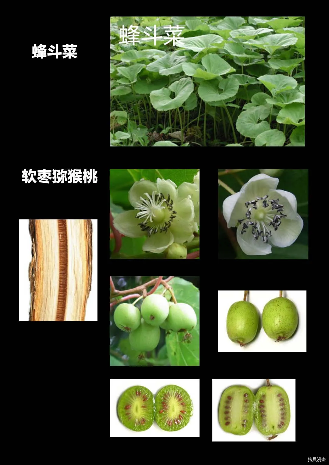 第23话 第29页