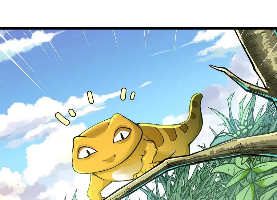 第3话 高智商的小守宫 第12页