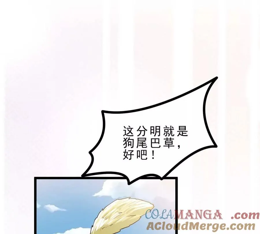 第6话 带刺的玫瑰 第33页