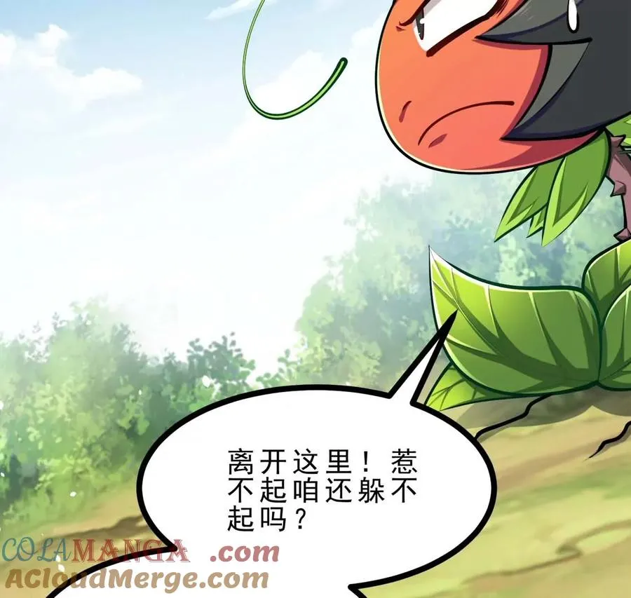 第21话 大炮当花盆 第19页