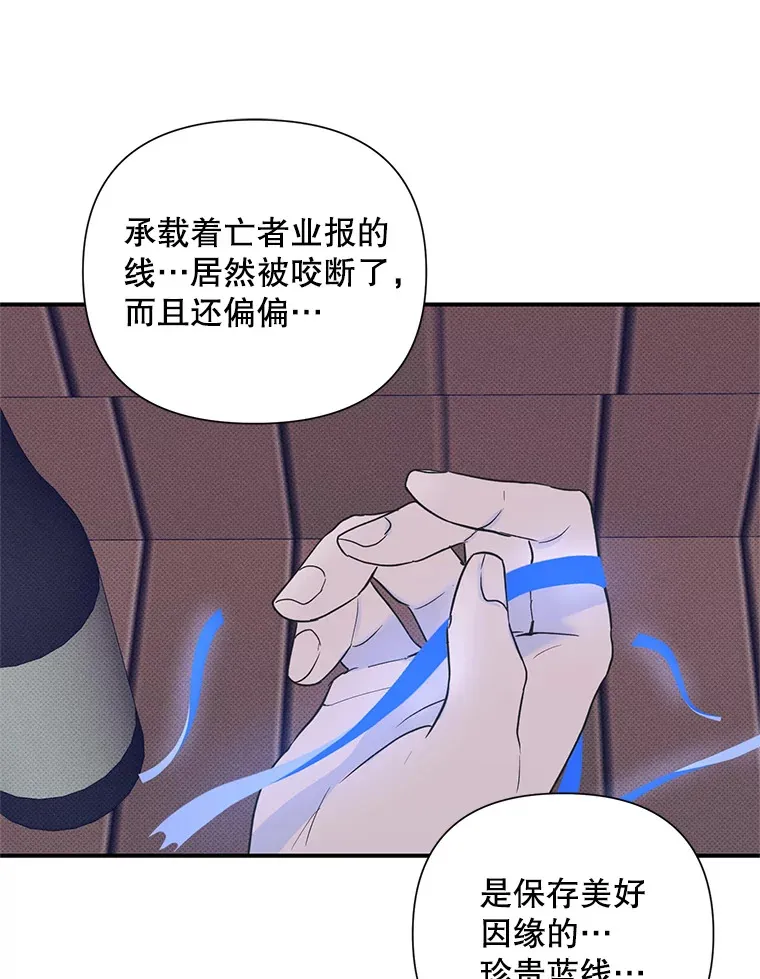 10.招财猫 第29页