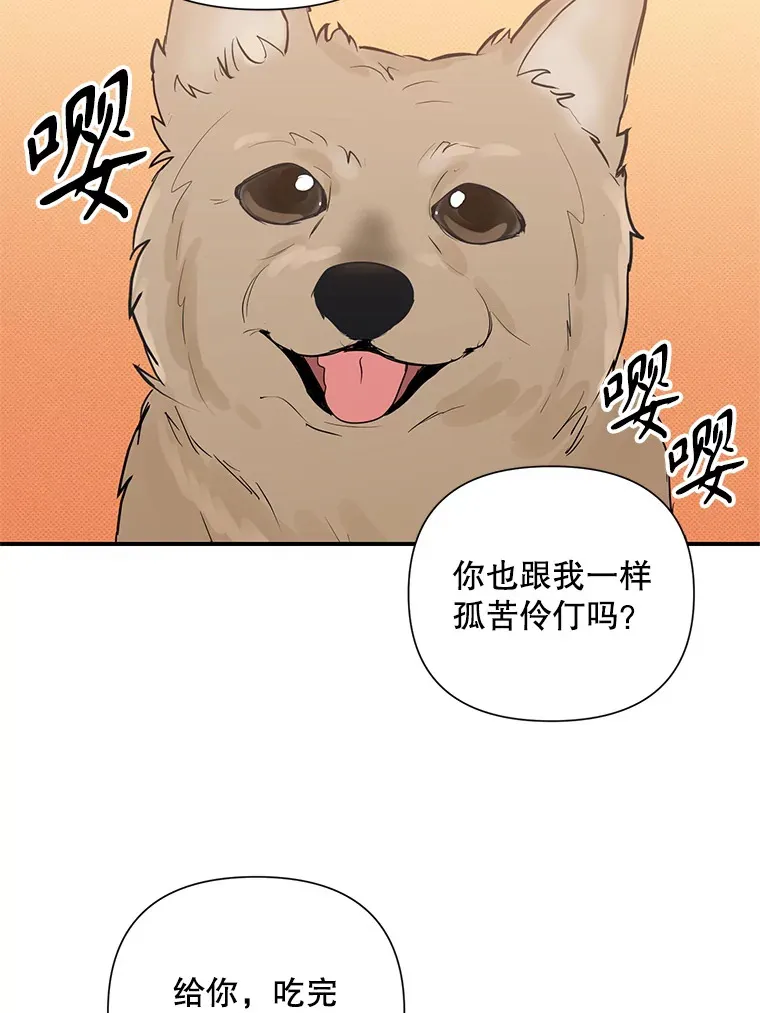 29.记忆错乱 第61页