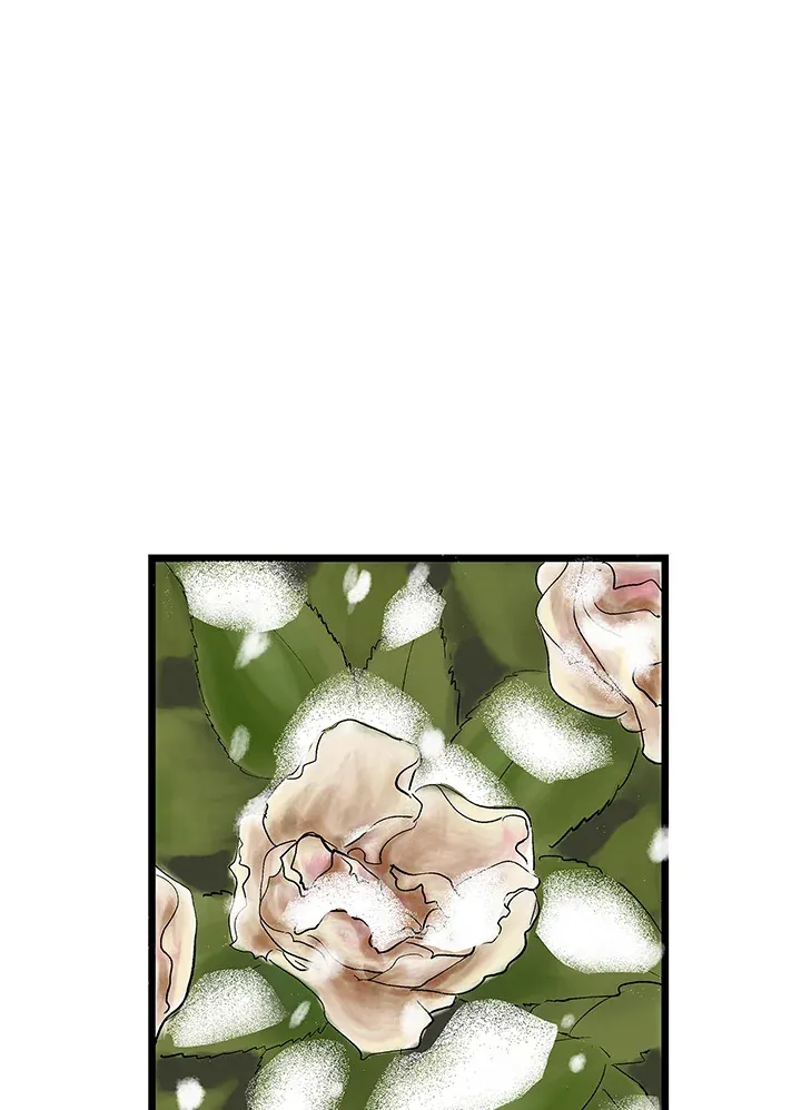 第102话 第62页