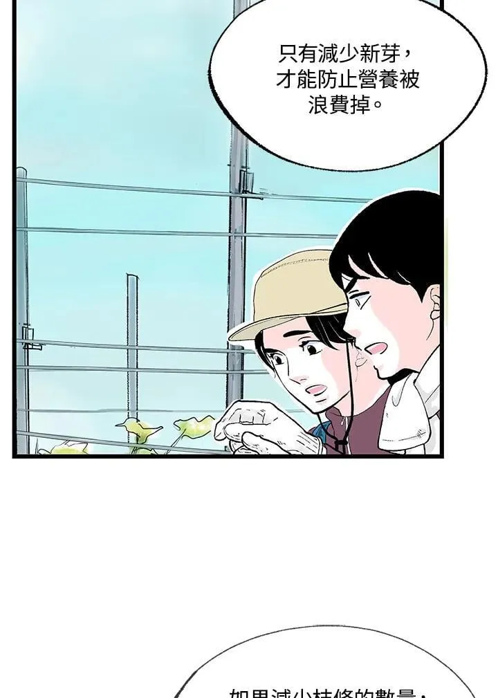 第114话 第54页