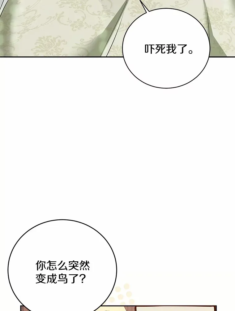 17.你是小白？ 第73页
