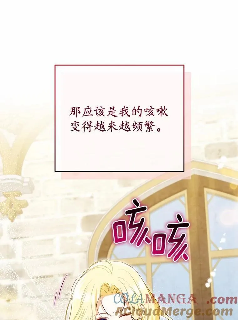 37.庆典开始 第41页