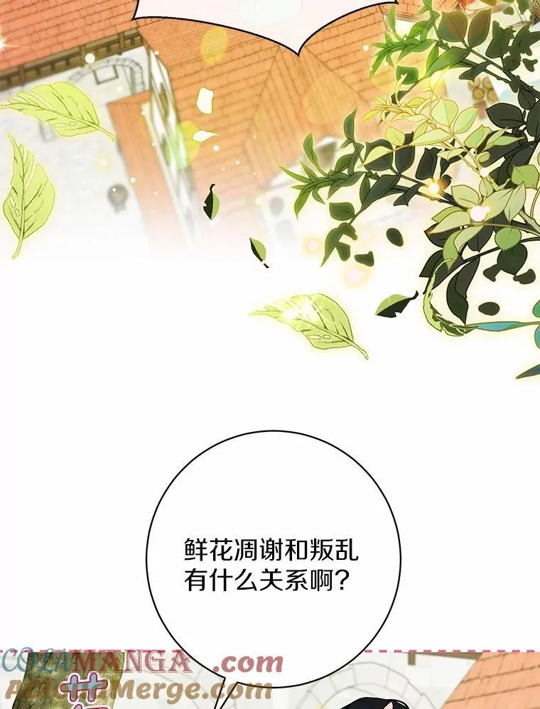 38.舞蹈大会 第33页