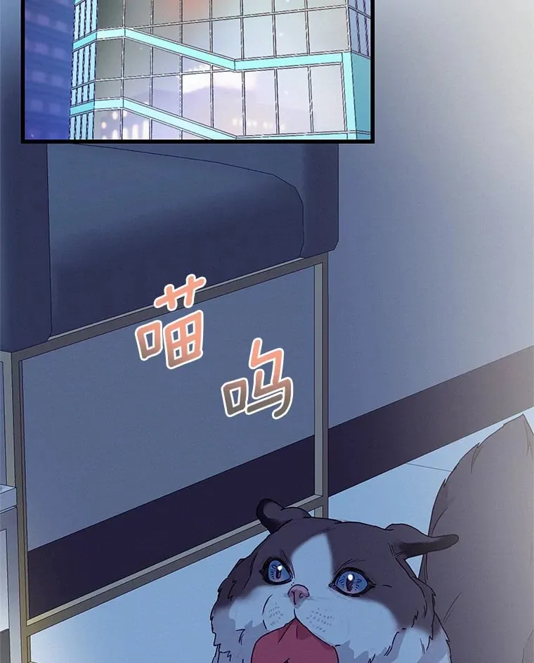 40.告白 第2页
