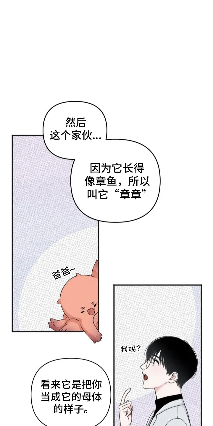 第5章：助手 第2页