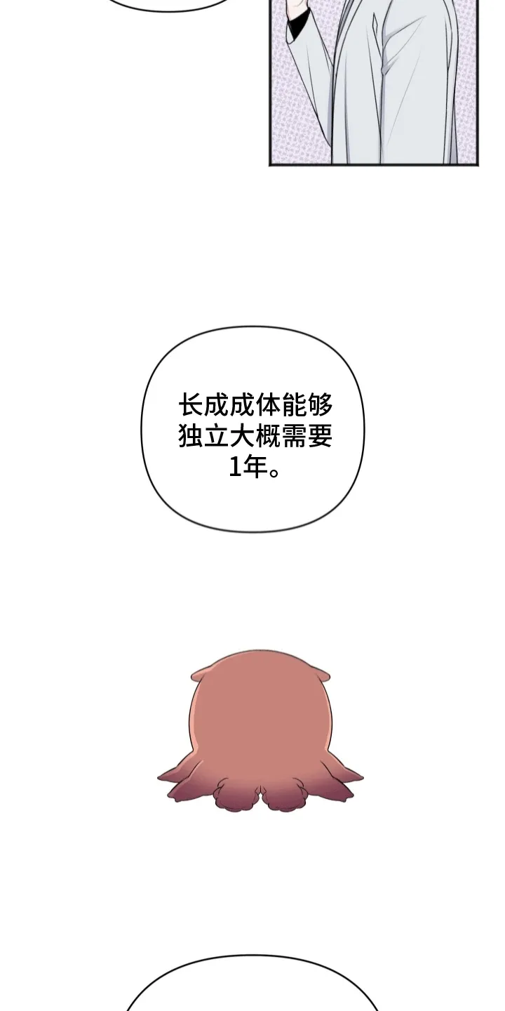 第5章：助手 第3页
