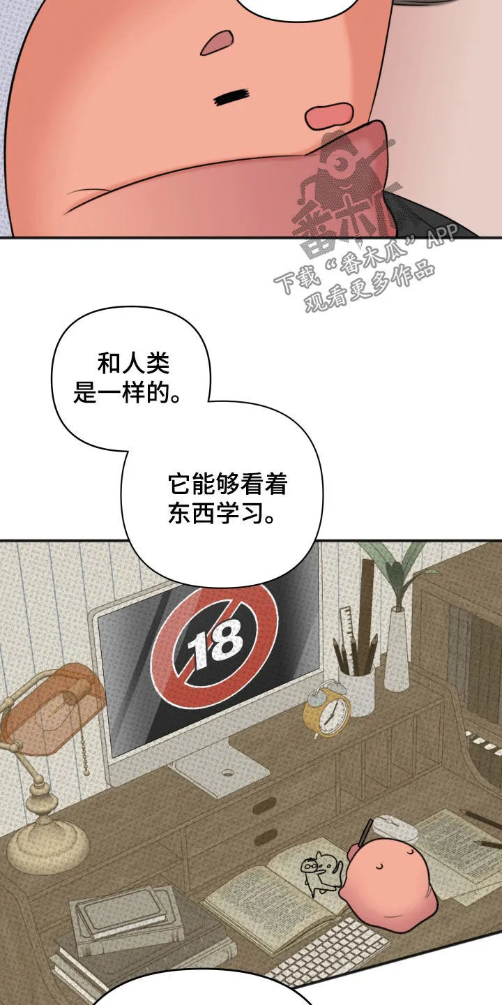 第13章：最佳的条件 第19页
