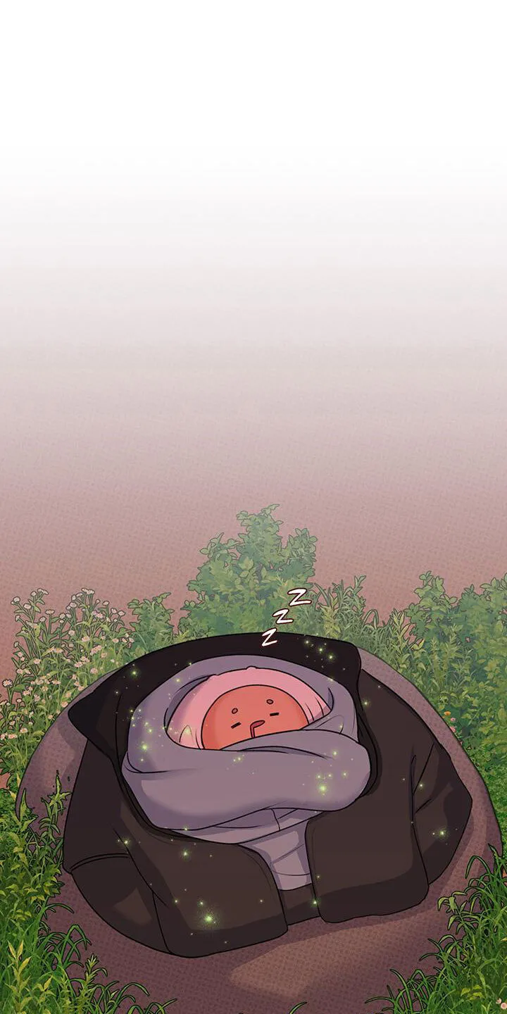 第29章：壮观 第11页