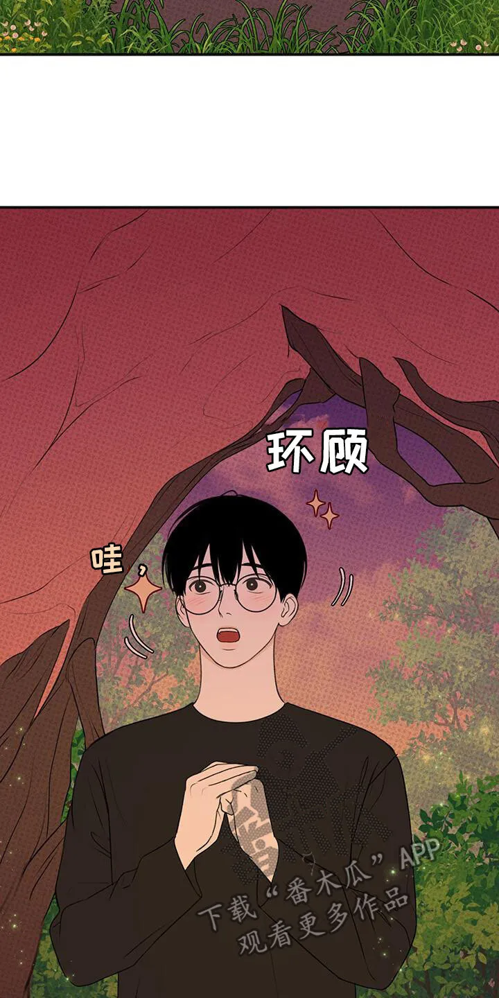 第29章：壮观 第12页