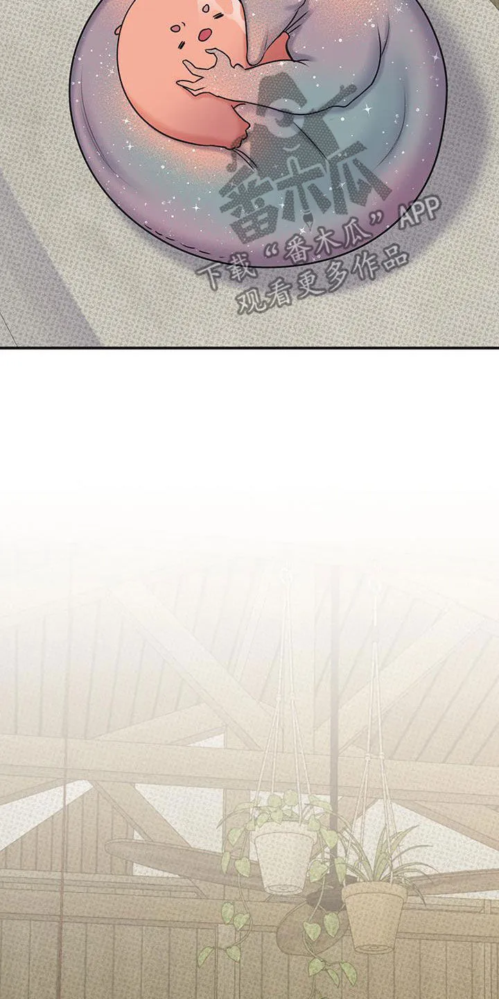 第33章：不是那样的 第17页