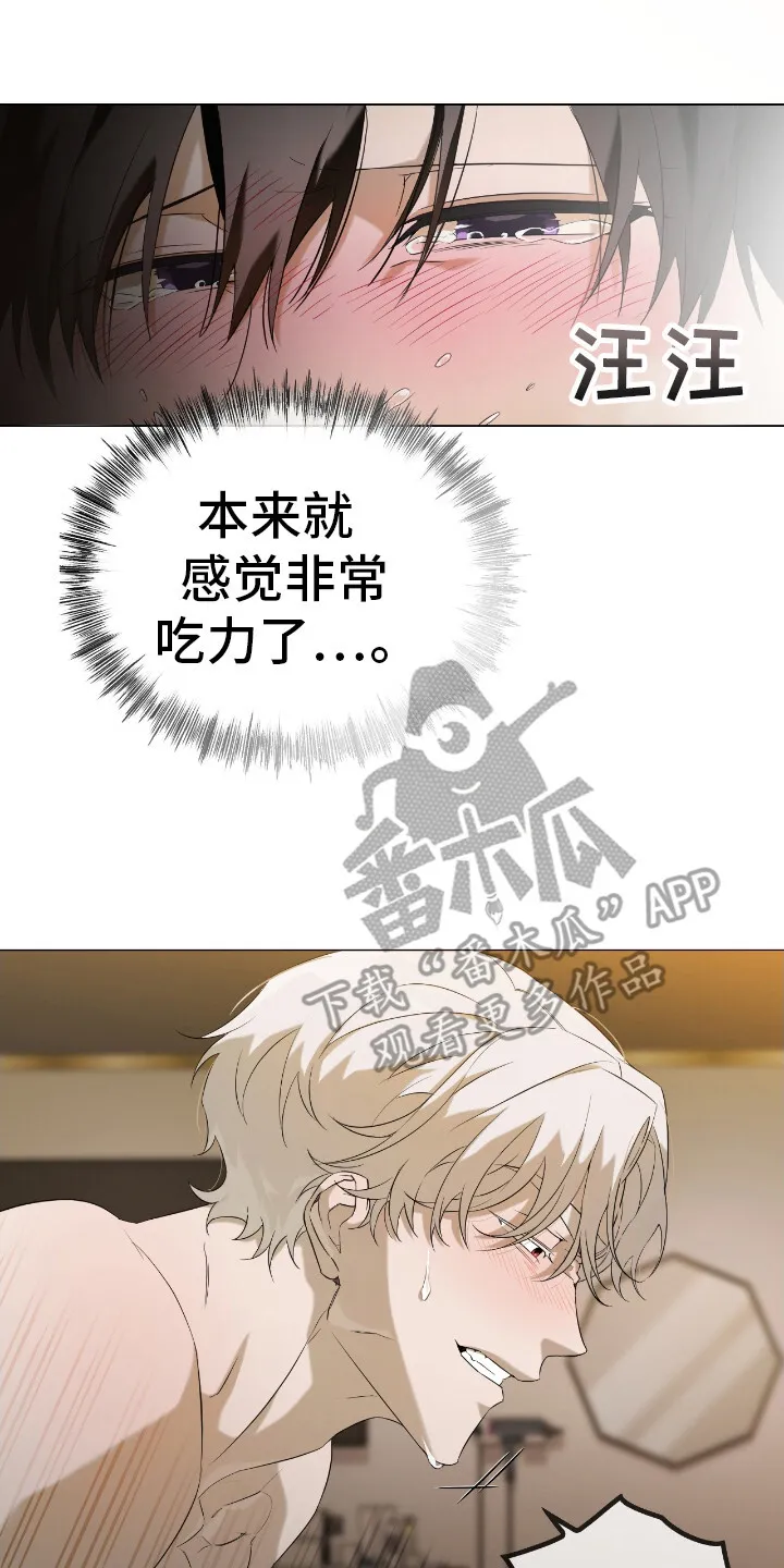 第8章：维持形象 第17页