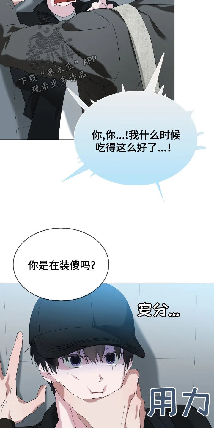 第15章：你是在装傻吗 第21页