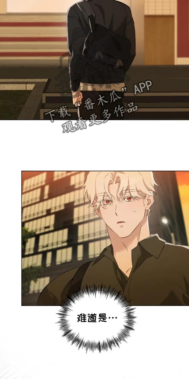 第32章：实话实说 第11页