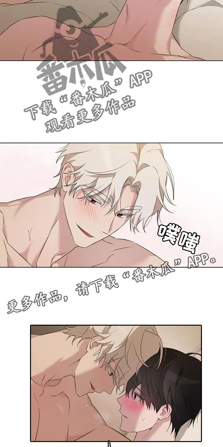第40章：我原谅你了 第15页