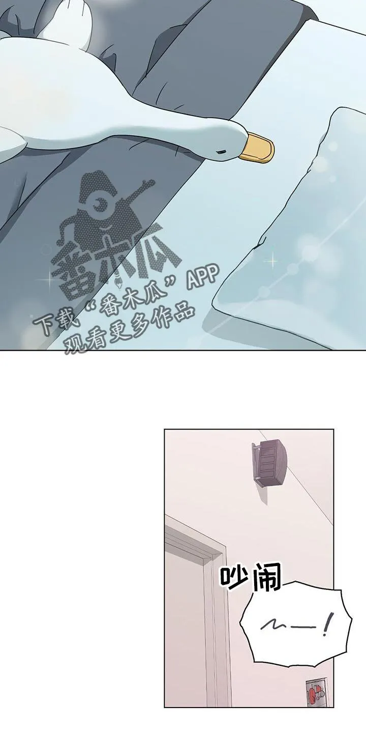 第52章：我不会打架 第16页