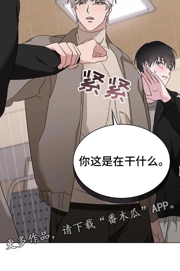 第52章：我不会打架 第37页