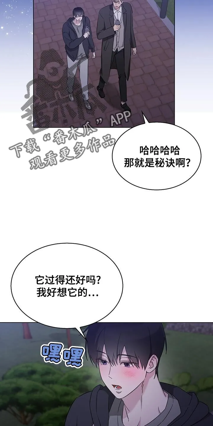 第54章：绝对不能告诉哥哥 第3页