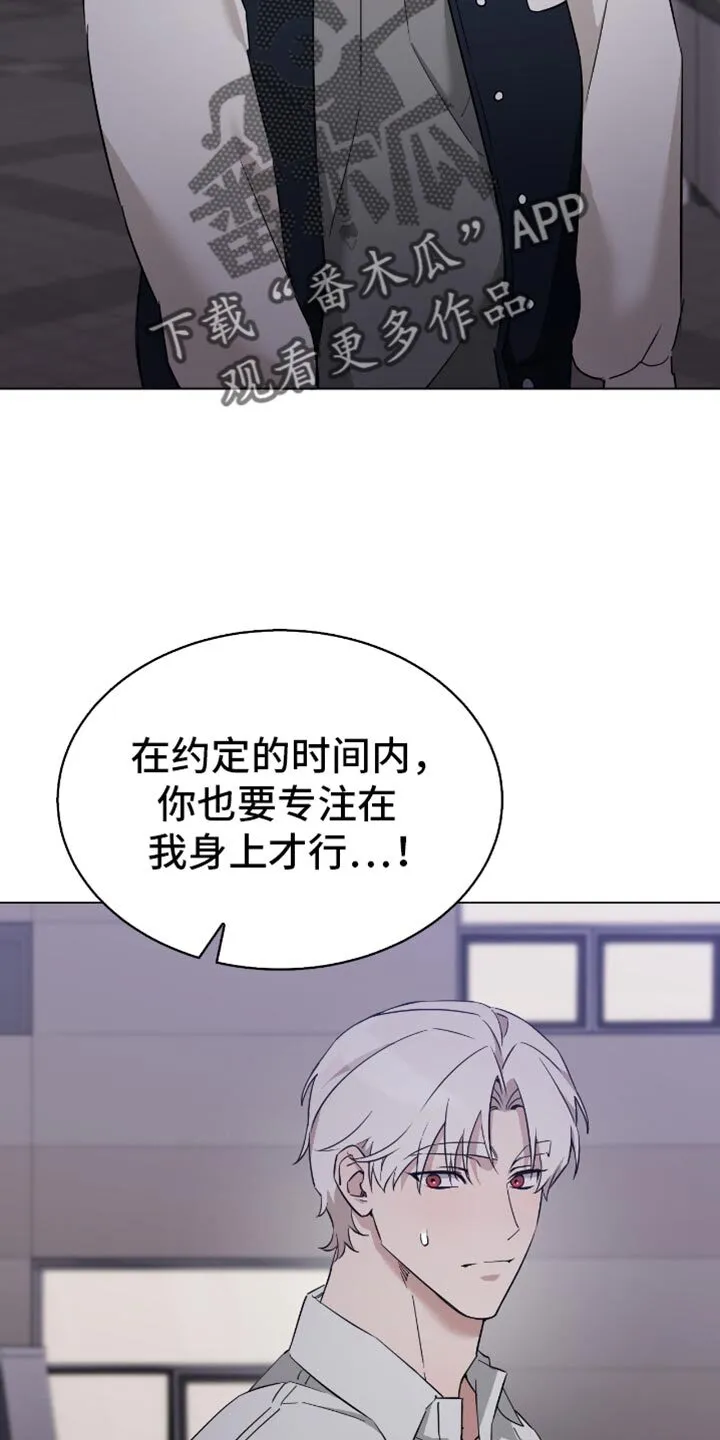 第62章：看烟花 第8页