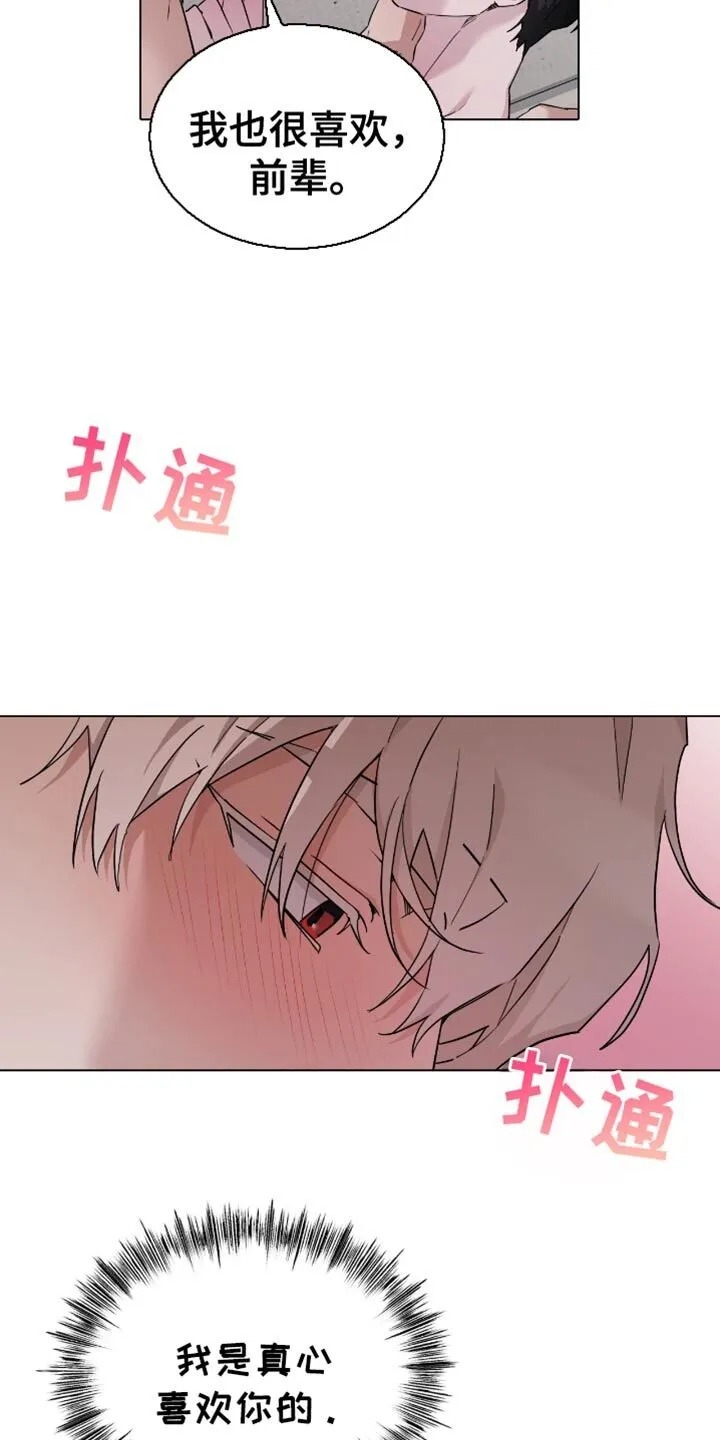 第64章：我非常喜欢 第17页