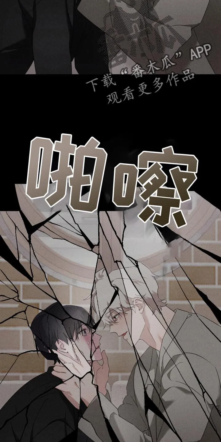 第72章：你们才是最坏的 第12页