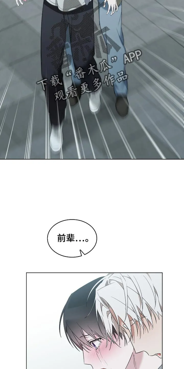 第73章：你不要走 第28页