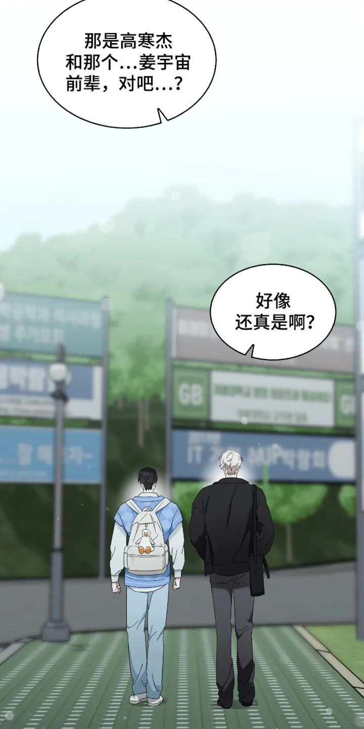 第78章：新的人生 第14页