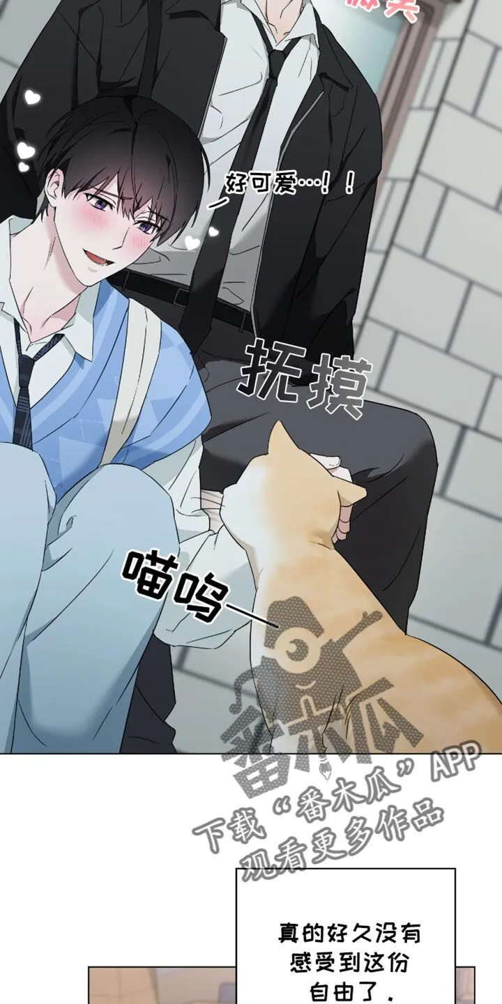 第79章：来回答你的 第4页