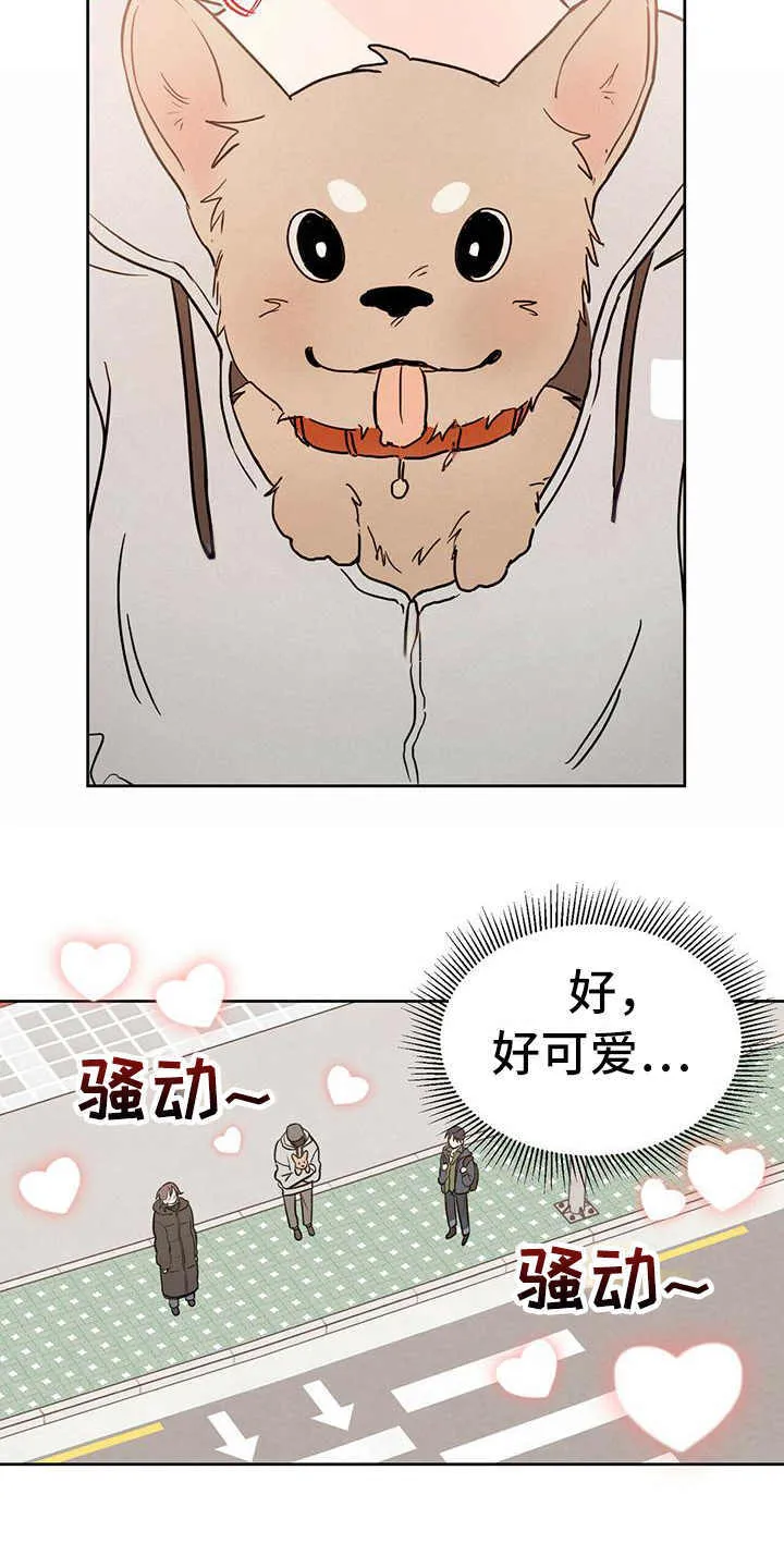 第1章：晕血 第8页