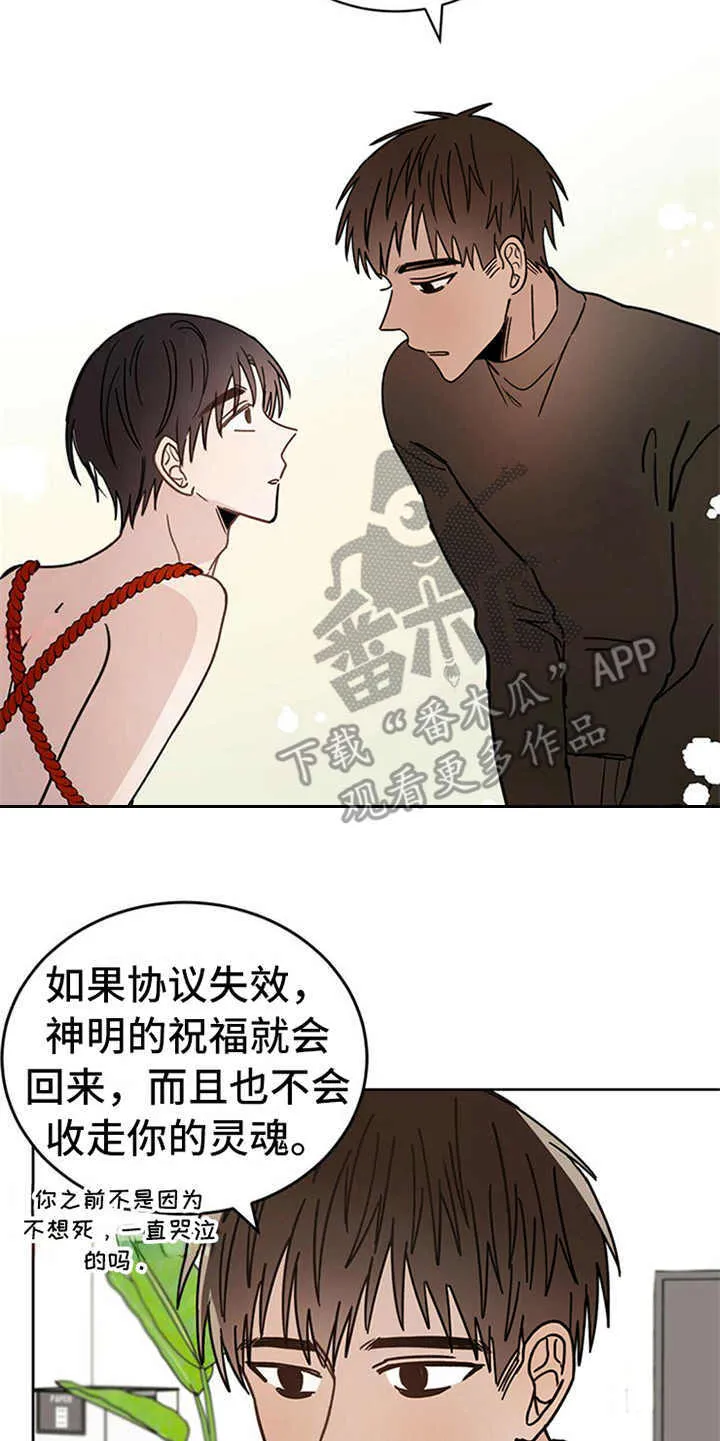 第6章：神的祝福 第18页