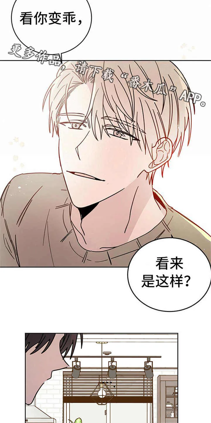 第8章：权利碎片 第5页