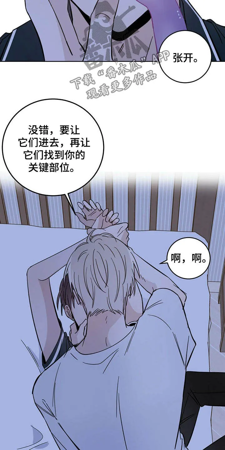第13章：寄生虫 第19页