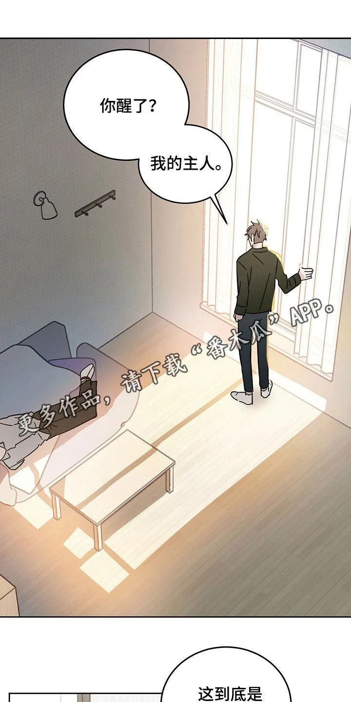 第15章：大嘴巴 第1页