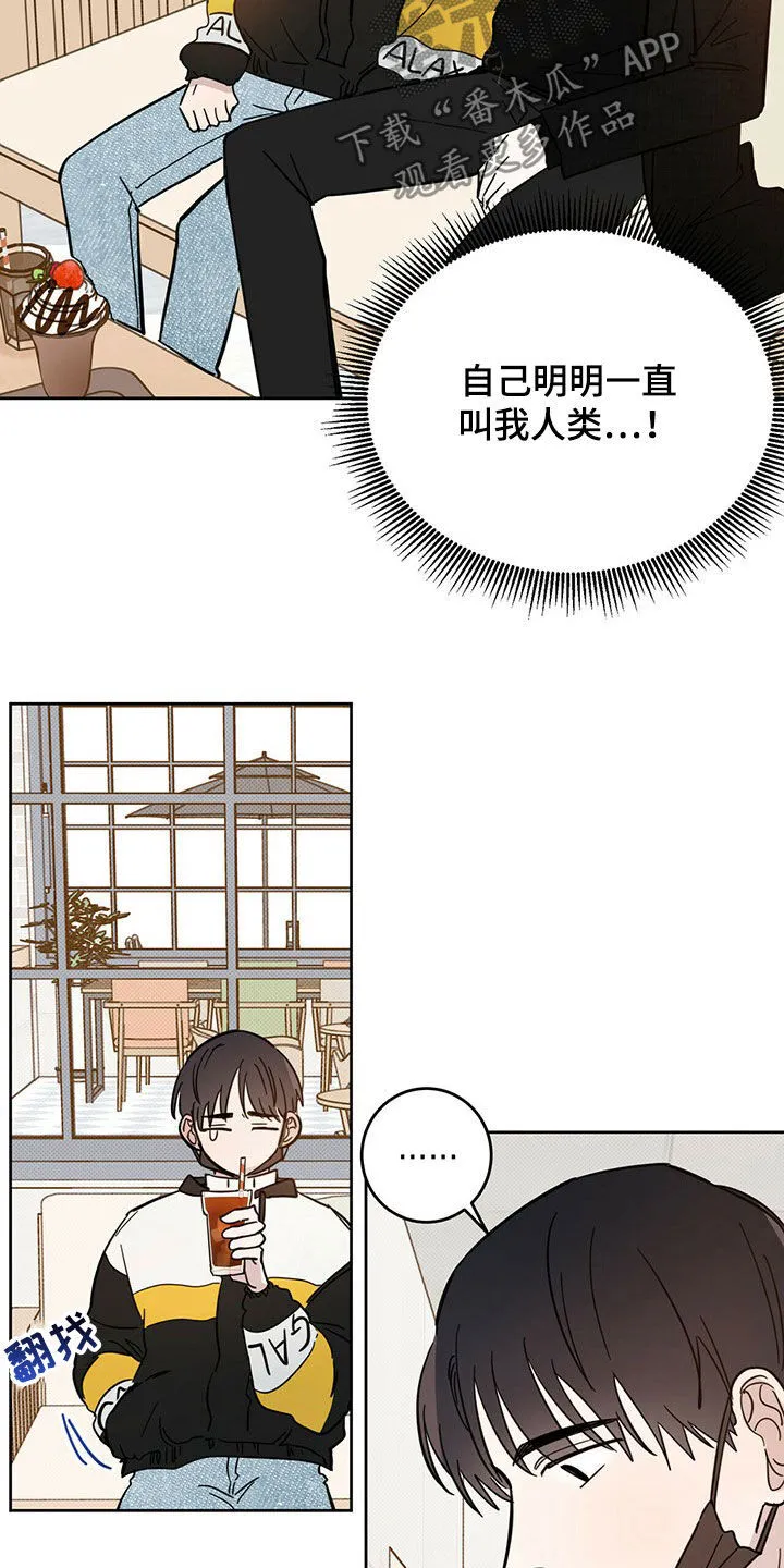 第16章：陷阱 第13页