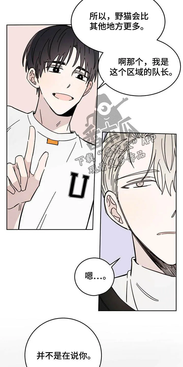 第21章：负责 第19页