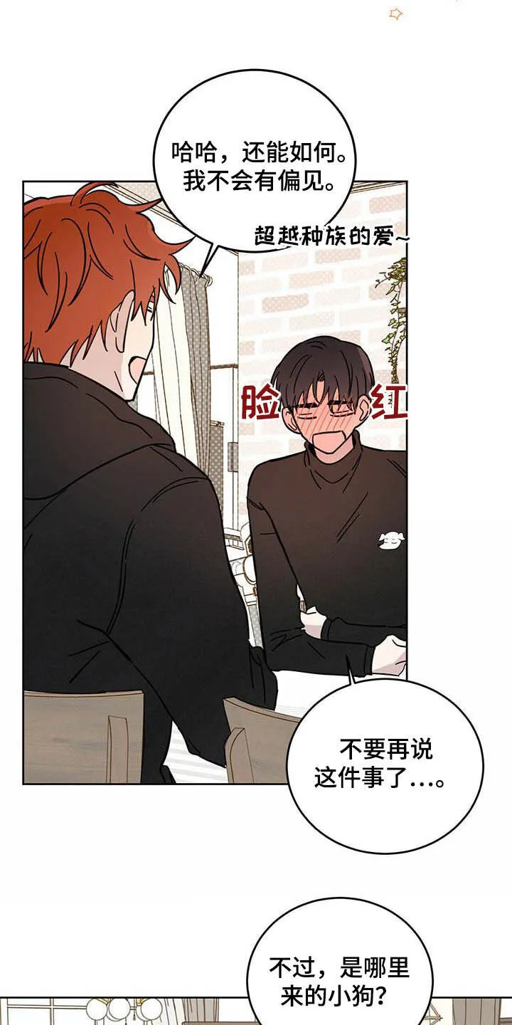 第24章：宠物捉迷藏 第4页