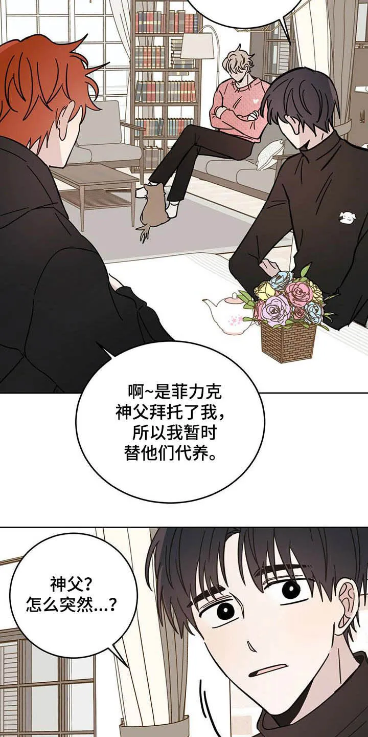 第24章：宠物捉迷藏 第5页