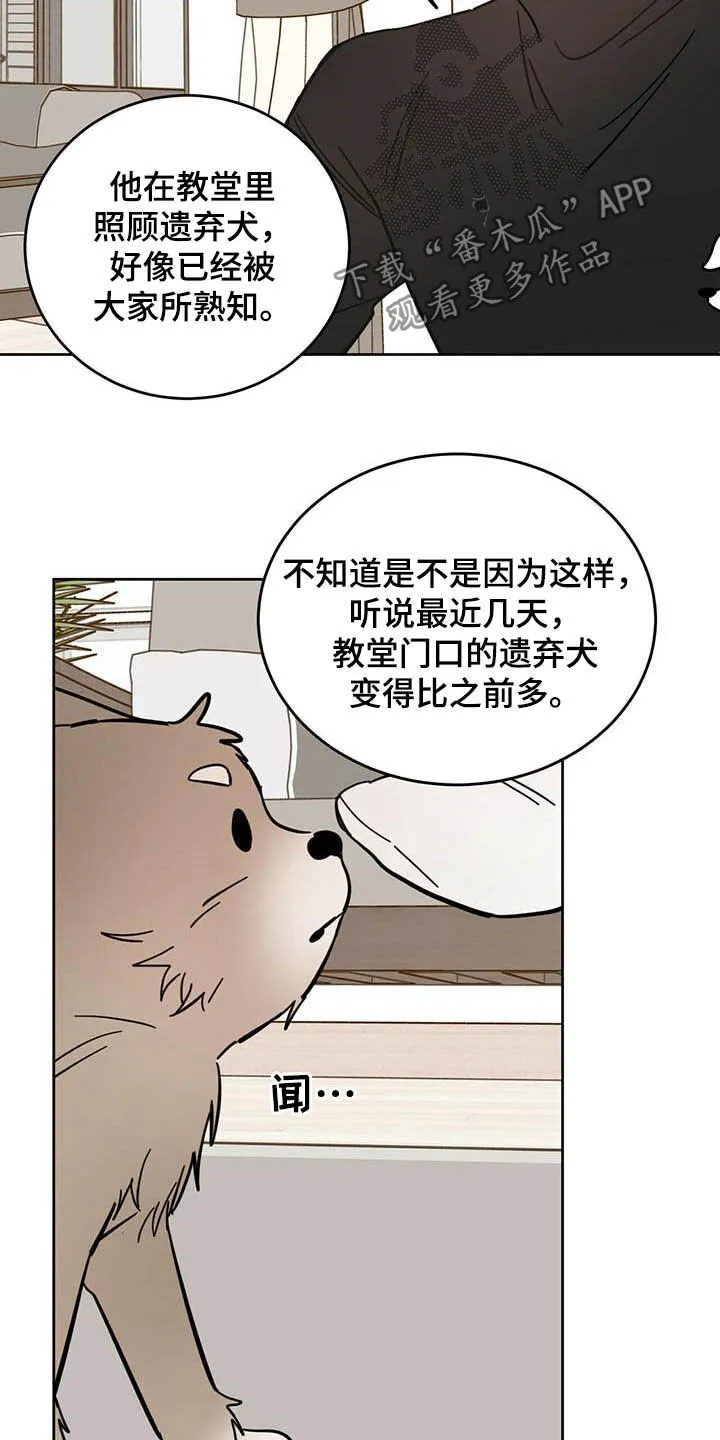 第24章：宠物捉迷藏 第6页