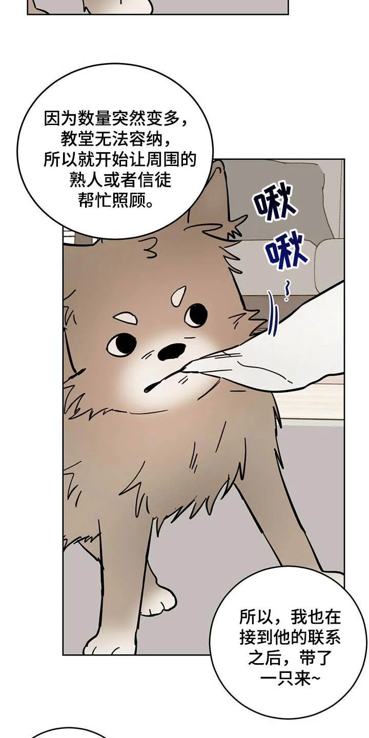 第24章：宠物捉迷藏 第7页