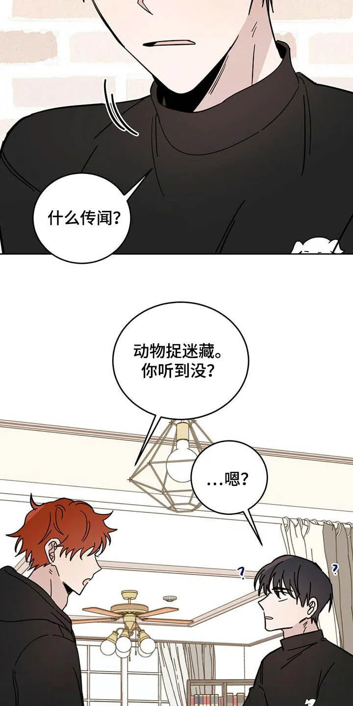 第24章：宠物捉迷藏 第9页