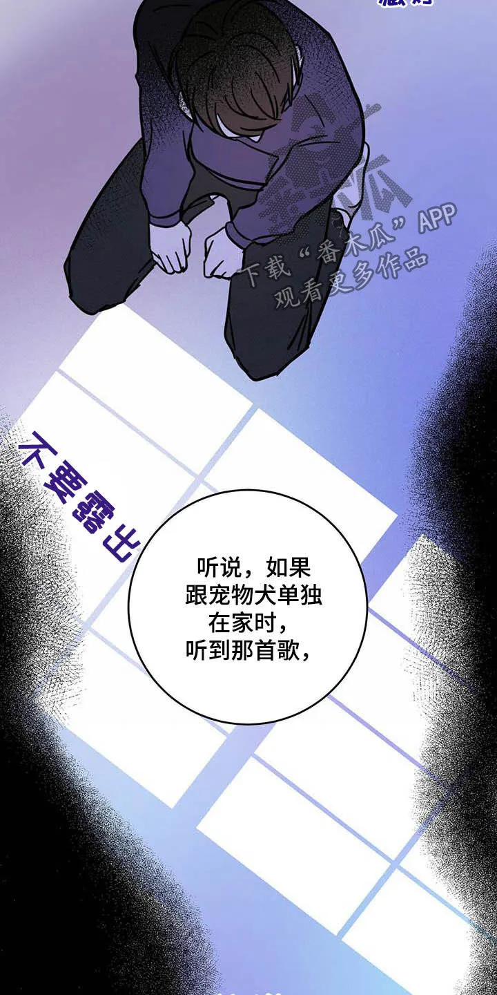 第24章：宠物捉迷藏 第11页