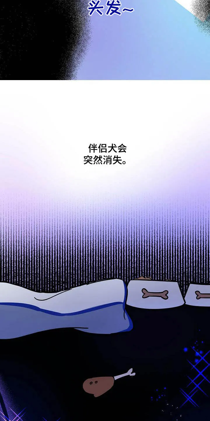第24章：宠物捉迷藏 第12页