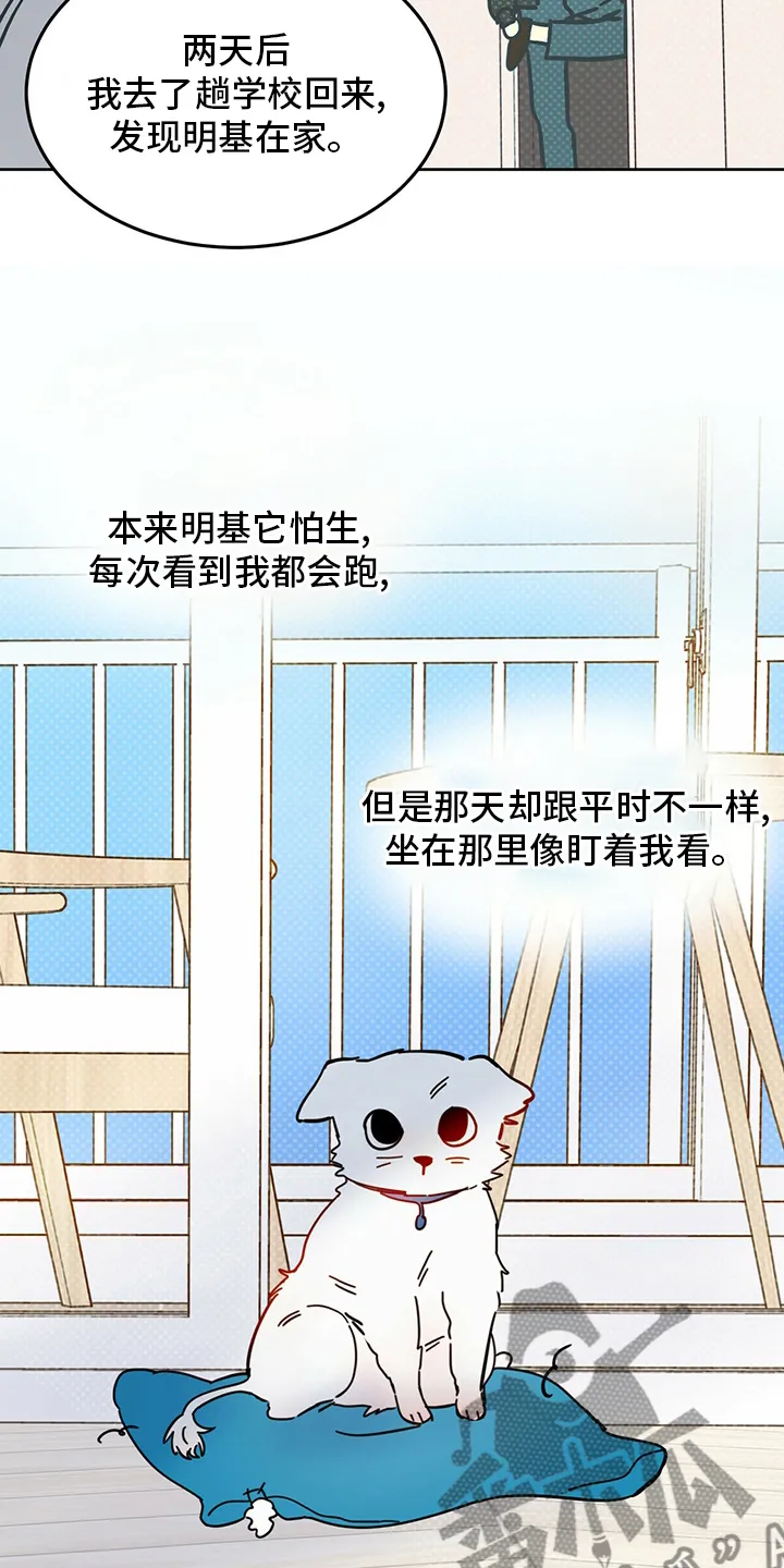 第26章：小狗 第14页