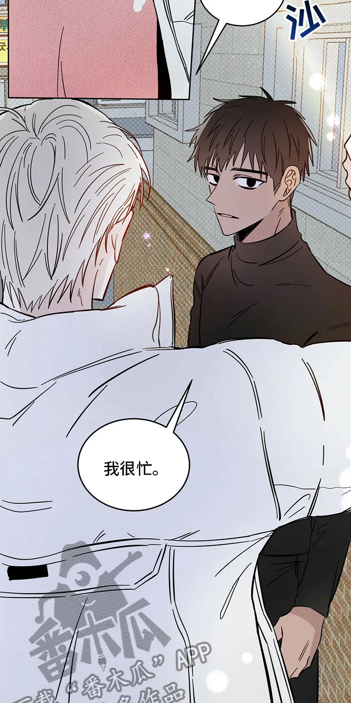第27章：动物 第3页