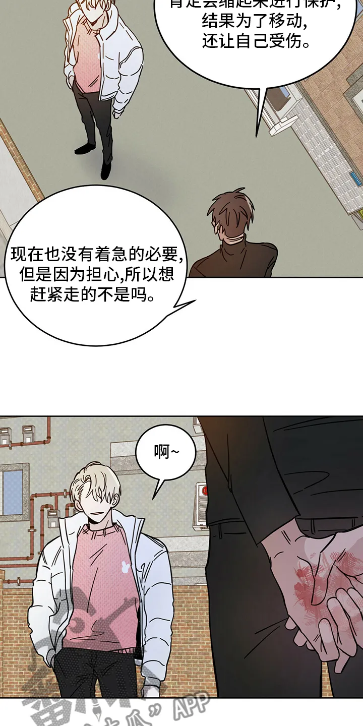 第27章：动物 第11页